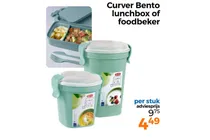 curver bento lunchbox