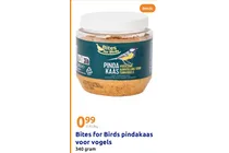 pindakaas voor vogels
