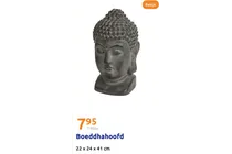 boeddhahoofd