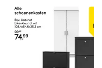 schoenenkast cabinet