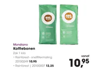 koffiebonen rainforest