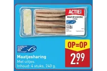 maatjesharing