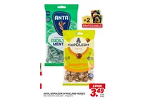 anta eucalyment