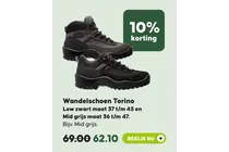wandelschoen torino