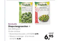 boerenkool boulets