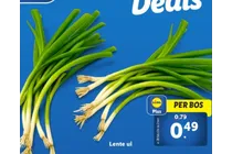 lente ui