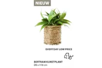 bertram kunstplant