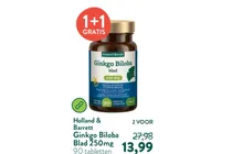 ginkgo biloba blad