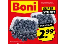 blauwe bessen