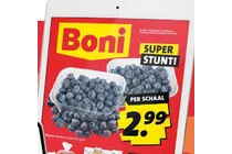 blauwe bessen