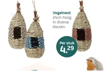 vogelnest