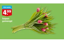 tulpen