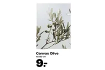 canvas olive