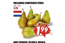 hollandse conference peren