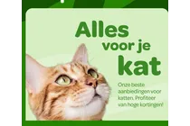 kat
