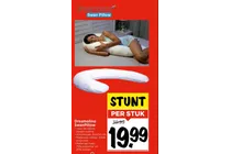 swan pillow