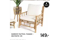 bamboe fauteuil padang