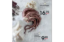 inktvis tentakels