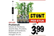 fruitstruik