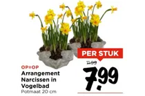 arrangement narcissen in vogelbad