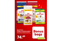 royal canin regular fit