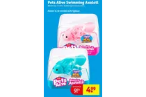 pets alive swimming axolotl