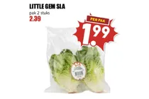 little gem sla