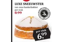 luxe sneeuwster