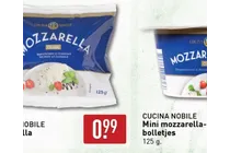 mini mozzarella bolletjes