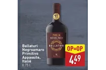 negroamaro primitivo appassite