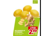 bio gember of citroenen