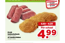 sateschnitzels