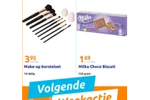 make up borstelset