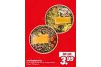 big burger salade of kip mango salade