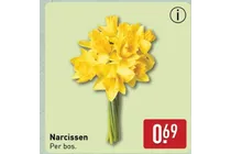 narcissen