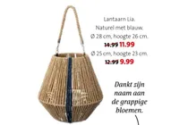 lantaarn lia