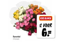 ranonkel