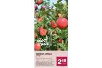 red pop appels