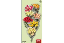 rozen
