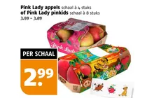 pink lady pinkids appels