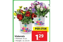 violenmix