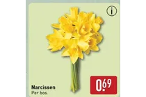 narcissen