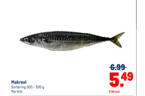 makreel