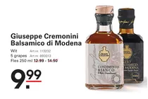 balsamico di modena wit
