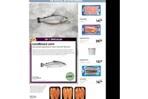 zalmfilet sockeye