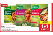 italiaanse lasagnette napolitana