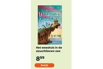 het weeshuis in de azuurblauwe zee