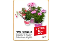 spaanse margrietjes geranium of fuchsia