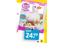 mama duck surprise