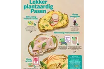 plantaardige salade